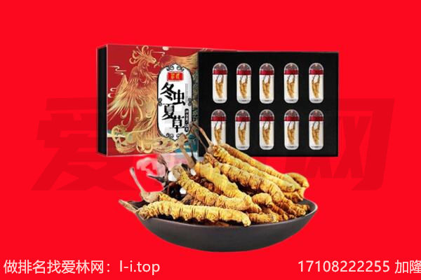 平顶山宝丰县回收虫草.jpg